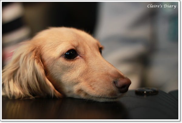 20251024-uw840 20251024-uw840