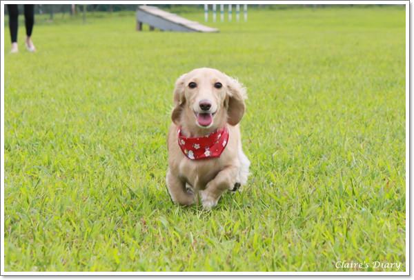 20251024-va3g3 20251024-va3g3