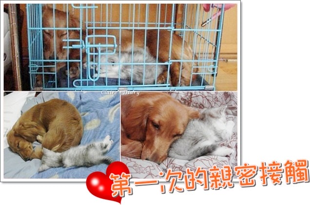 20251024-velqm 20251024-velqm