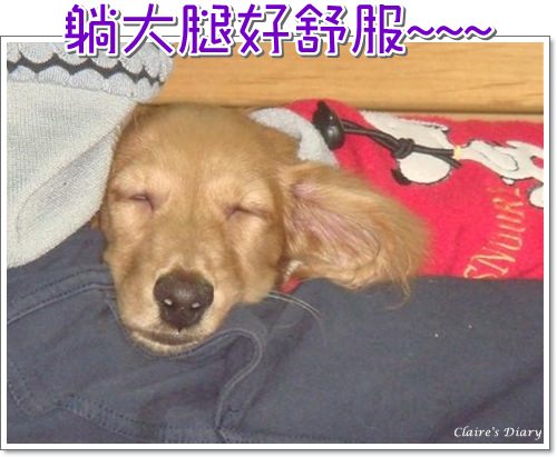 20251024-xxcl4 20251024-xxcl4