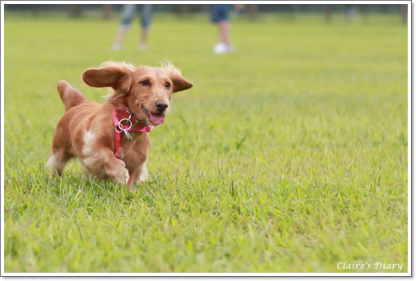 20251024-y98qa 20251024-y98qa