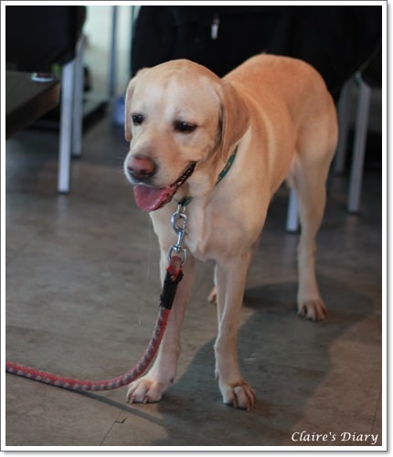 20251024-zkdxn 20251024-zkdxn