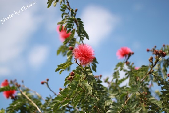 20251024-3q3hq 20251024-3q3hq