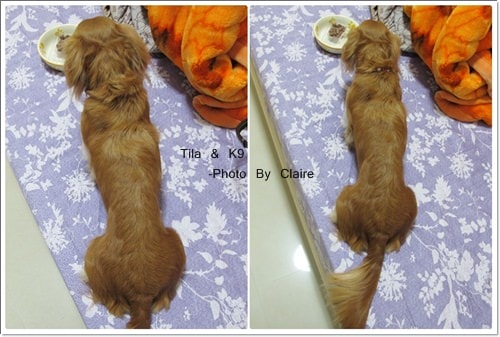 20251024-ofj2l 20251024-ofj2l