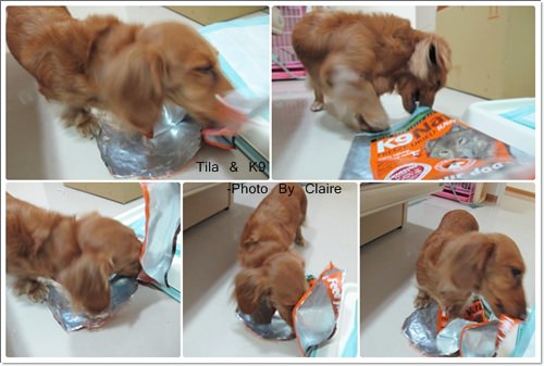 20251024-zgo8d 20251024-zgo8d