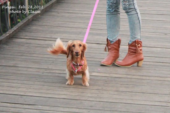 20251024-gk0jm 20251024-gk0jm