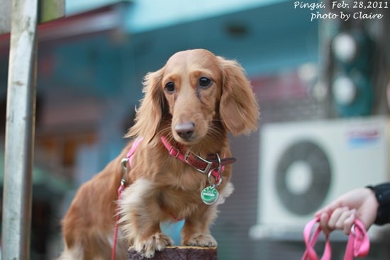 20251024-qc8zm 20251024-qc8zm