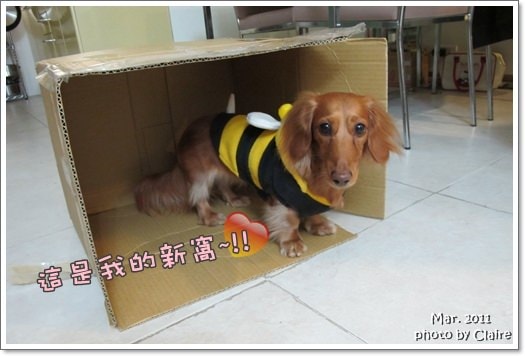 20251024-6b2i0 20251024-6b2i0