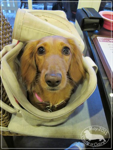 20251024-kvidg 20251024-kvidg