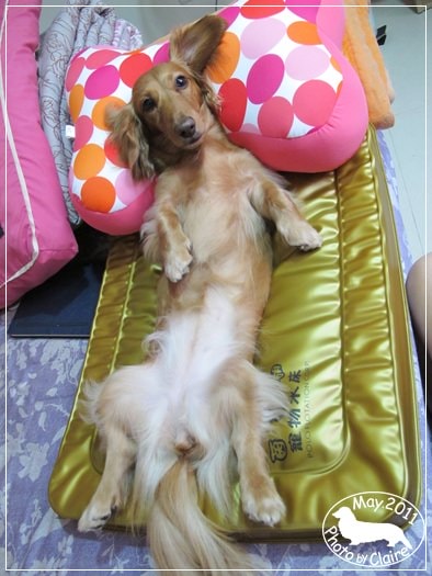 20251024-ov38s 20251024-ov38s