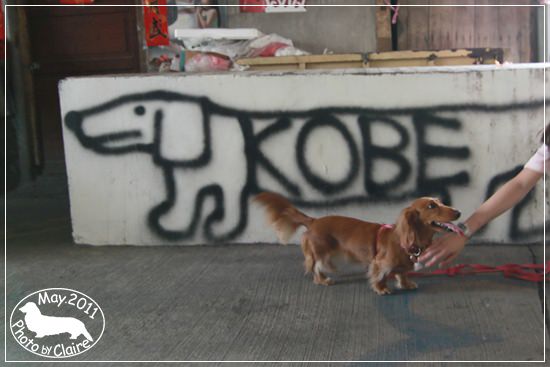 20251024-pf15k 20251024-pf15k