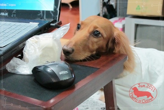 20251024-00oms 20251024-00oms