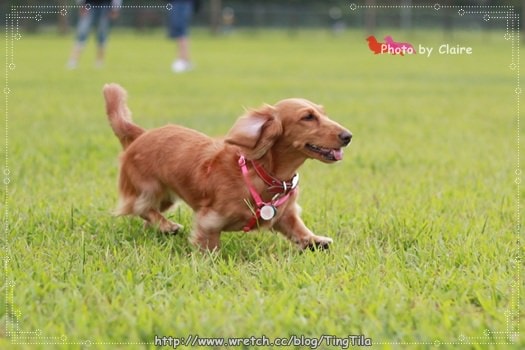 20251024-gthr1 20251024-gthr1