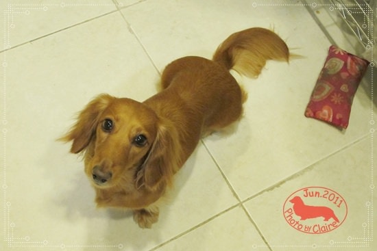 20251024-la02l 20251024-la02l