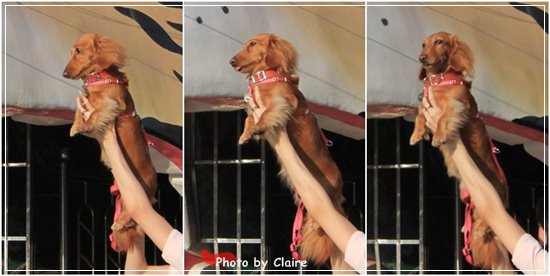 20251024-n6t75 20251024-n6t75