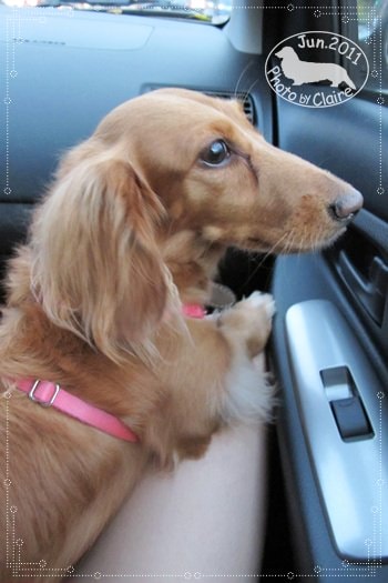 20251024-qrg51 20251024-qrg51