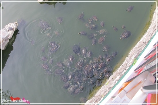 20251024-wu1qc 20251024-wu1qc