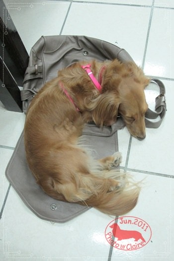 20251024-yab96 20251024-yab96