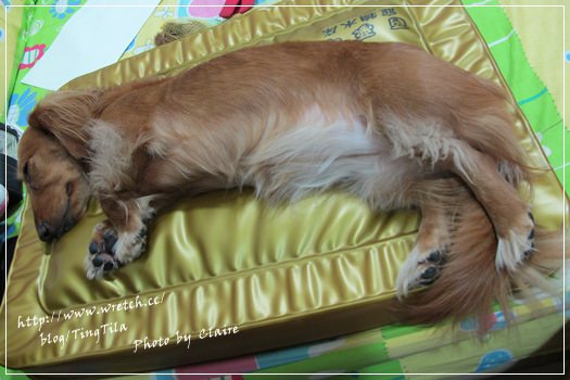 20251024-2ytfa 20251024-2ytfa