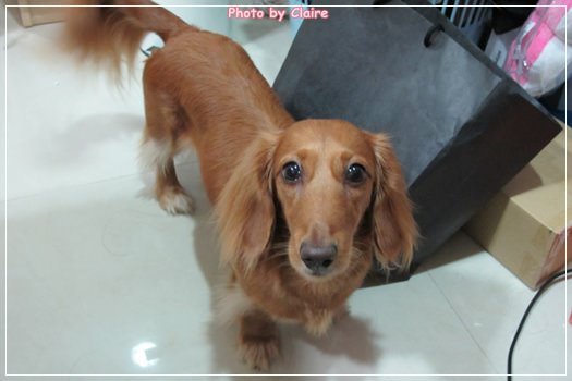 20251024-3bjr0 20251024-3bjr0