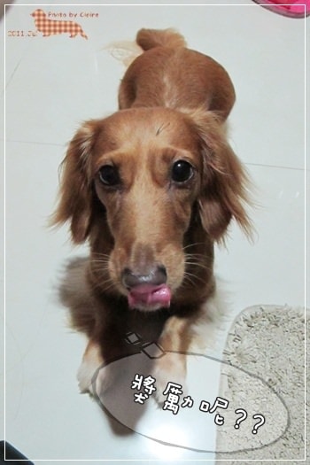 20251024-5tcpi 20251024-5tcpi