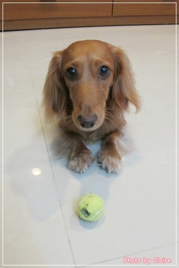 20251024-al53v 20251024-al53v