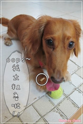 20251024-lbj7w 20251024-lbj7w