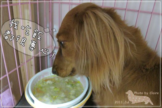 20251024-pg65a 20251024-pg65a