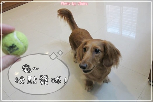 20251024-sxxj6 20251024-sxxj6