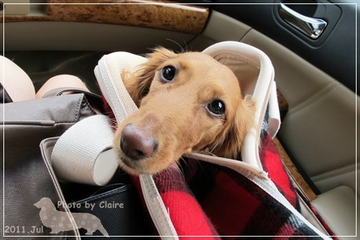 20251024-wz49u 20251024-wz49u