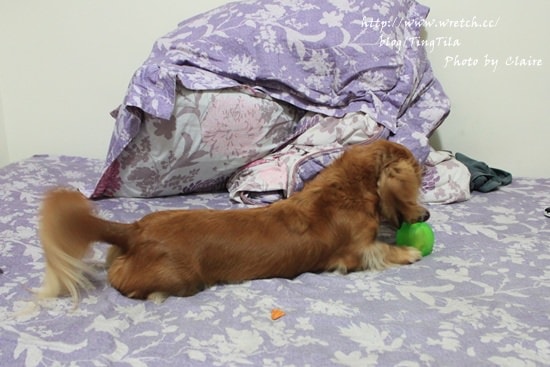 20251024-1axx4 20251024-1axx4