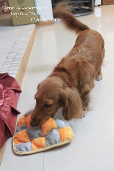 20251024-39inr 20251024-39inr