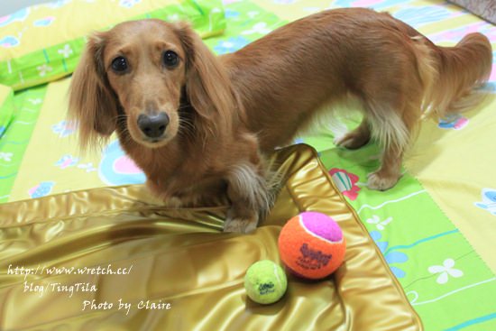 20251024-5cxic 20251024-5cxic