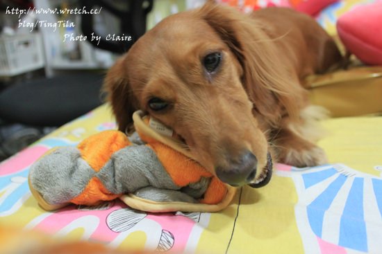 20251024-9us4a 20251024-9us4a