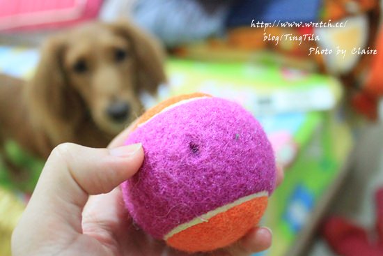 20251024-9yl2z 20251024-9yl2z