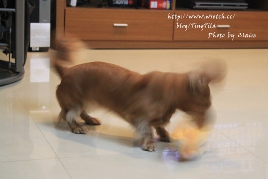 20251024-dqdz9 20251024-dqdz9