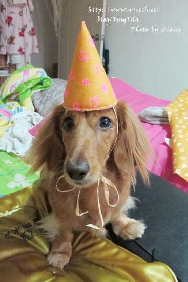 20251024-e063e 20251024-e063e