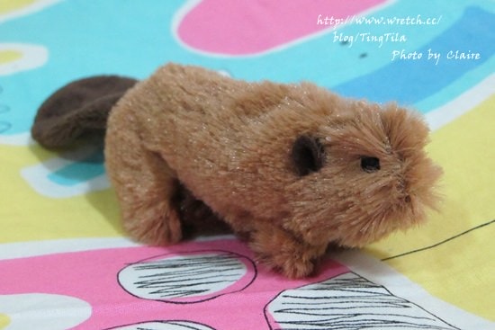 20251024-ptlme 20251024-ptlme