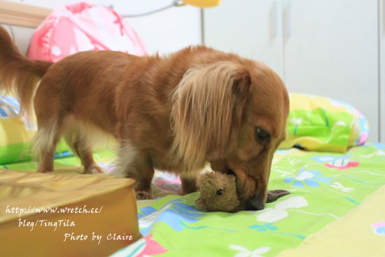 20251024-ptnt1 20251024-ptnt1