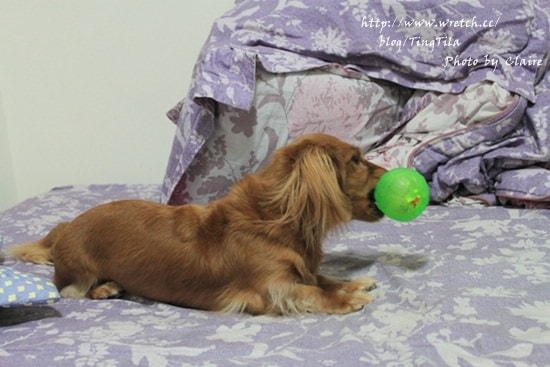 20251024-ri4ta 20251024-ri4ta