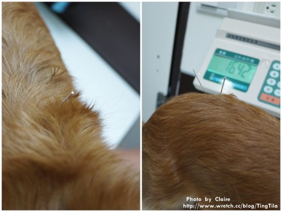 20251024-44ell 20251024-44ell