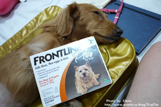 20251024-81684 20251024-81684