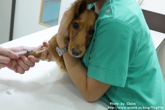 20251024-8in74 20251024-8in74