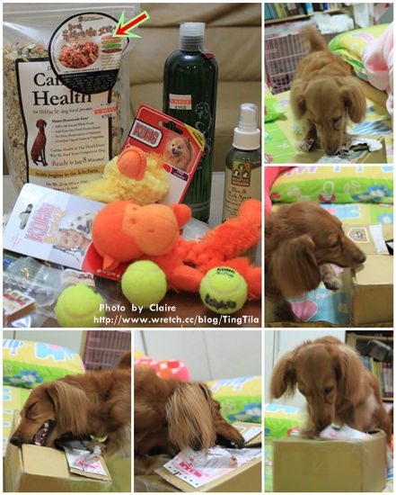 20251024-izjqa 20251024-izjqa