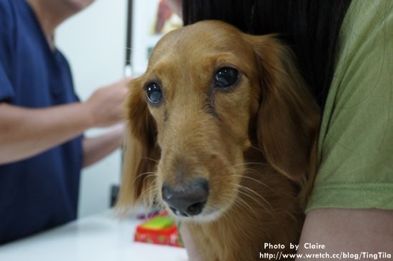 20251024-kgxdm 20251024-kgxdm