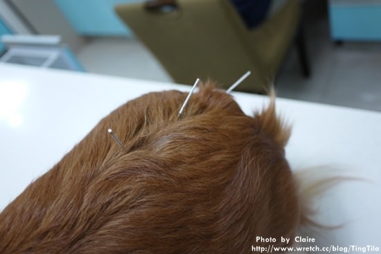 20251024-oyi67 20251024-oyi67