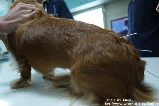 20251024-y0cjb 20251024-y0cjb