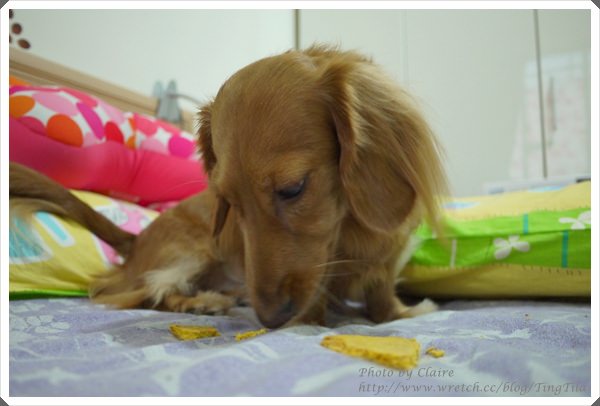 20251024-dcwhc 20251024-dcwhc