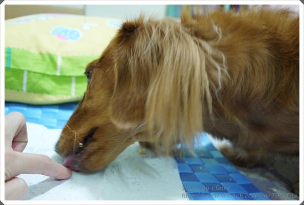 20251024-gqbku 20251024-gqbku