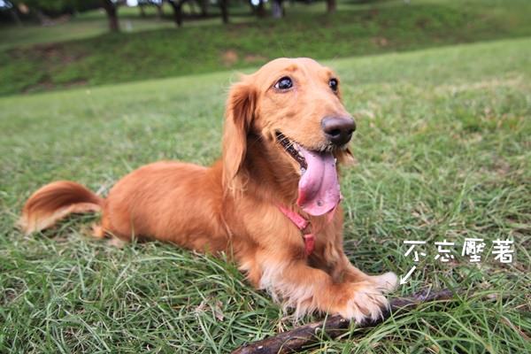 20251024-16zhi 20251024-16zhi